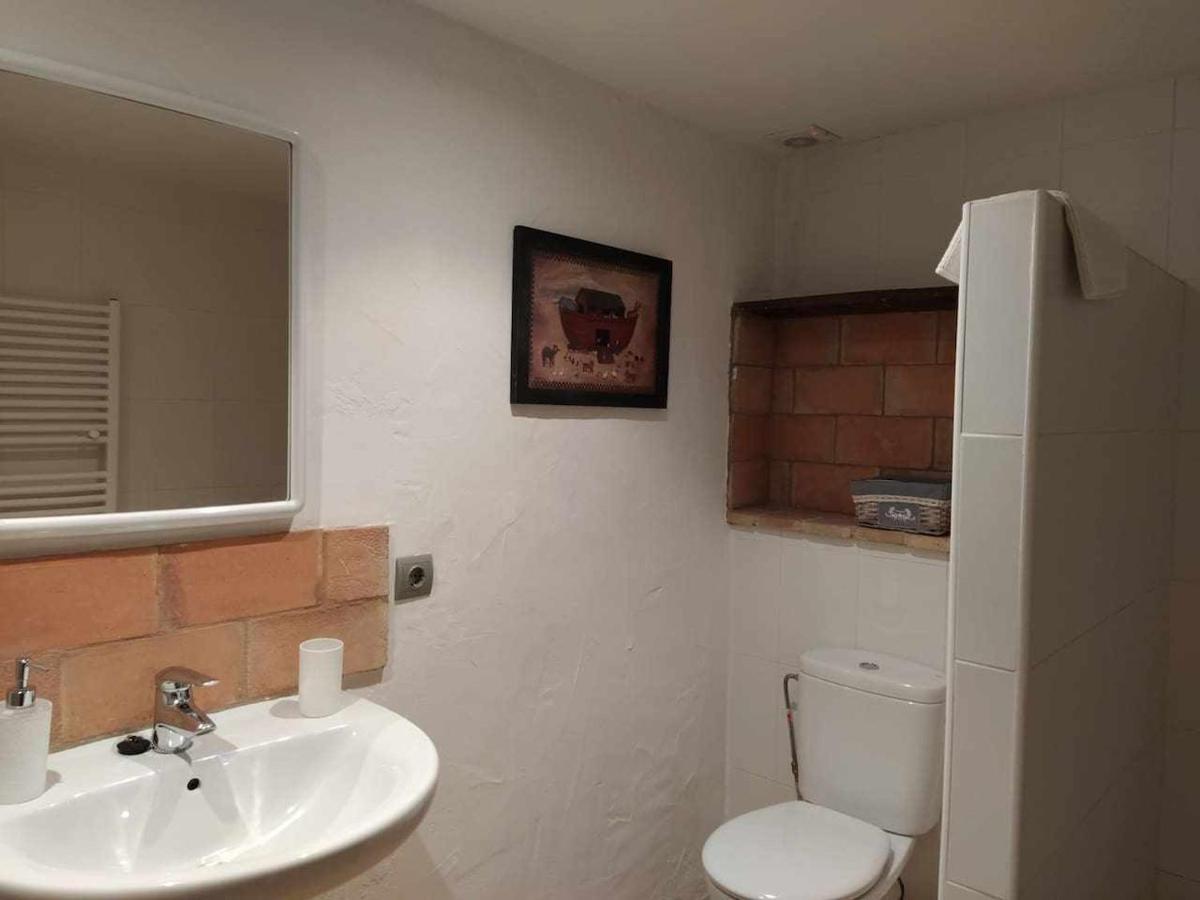 Mas Planella Casa Rural Mieres  Exterior photo