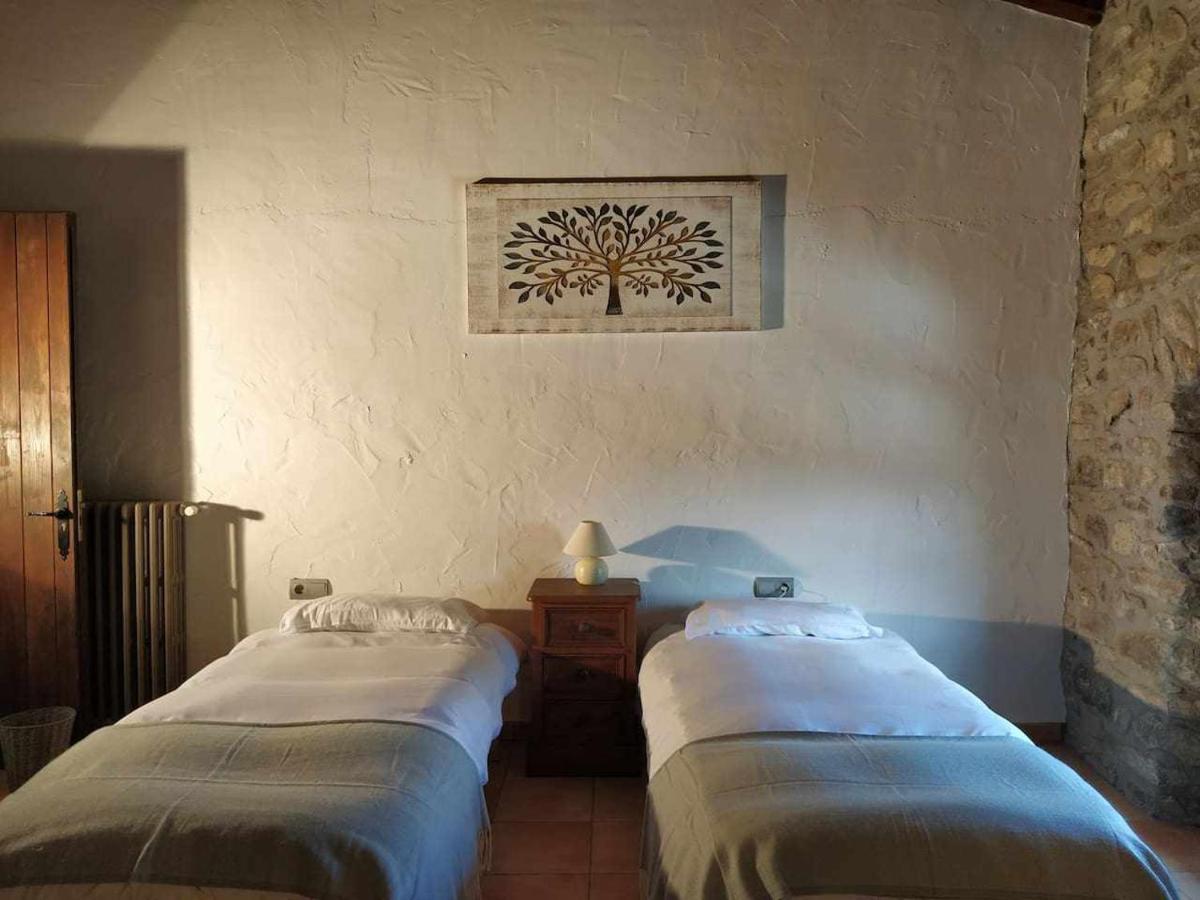 Mas Planella Casa Rural Mieres  Exterior photo